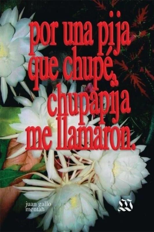 POR UNA PIJA QUE CHUPÉ, CHUPAPIJA ME LLAMARON | 9789915972428 | Gallo, Juan / , MENTAH
