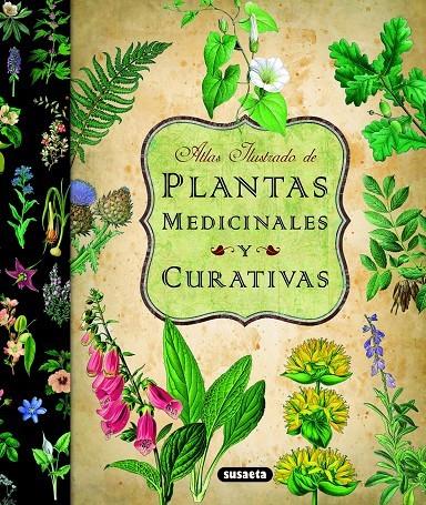 Plantas medicinales y curativas | 9788467712575 | Susaeta, Equipo