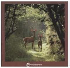 Los Animales del Bosque | 9788494174599 | Nowordbooks