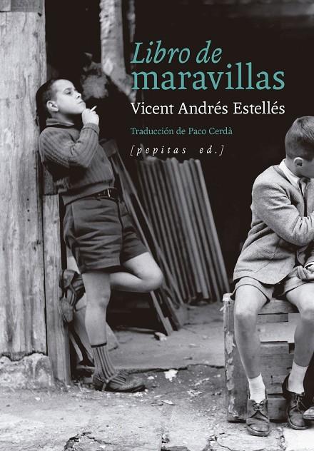 Libro de maravillas | 9788410476509 | ANDRES ESTELLES, VICENT