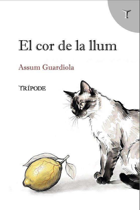 El cor de la llum | 9791399090376 | Guardiola, Assum