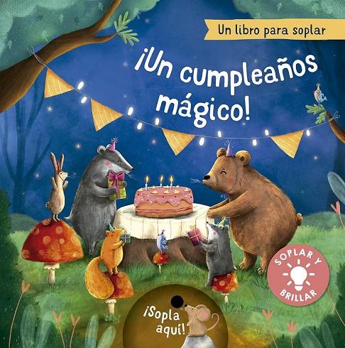 ¡Un cumpleaños mágico! | 9788491459088 | Höck, Maria