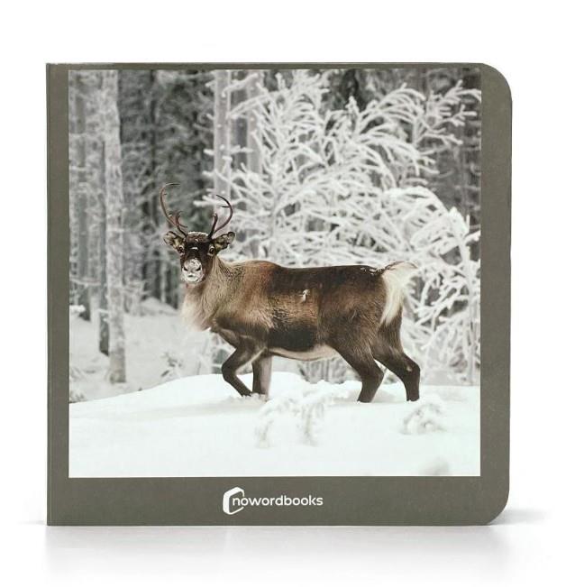 ANIMALES POLARES | 9788412534474 | NOWORDBOOKS