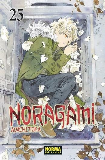NORAGAMI 25 | 9788467962116 | , Adachitoka