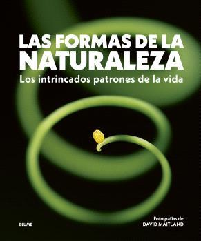 FORMAS DE LA NATURALEZA | 9788410469822 | Maitland, David