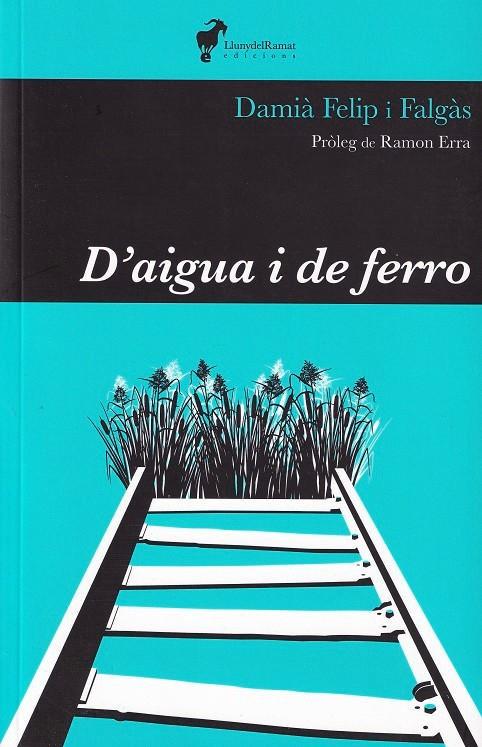 D'AIGUA I DE FERRO | 9788412575255 | DAMIÀ FELIP I FALGÀS