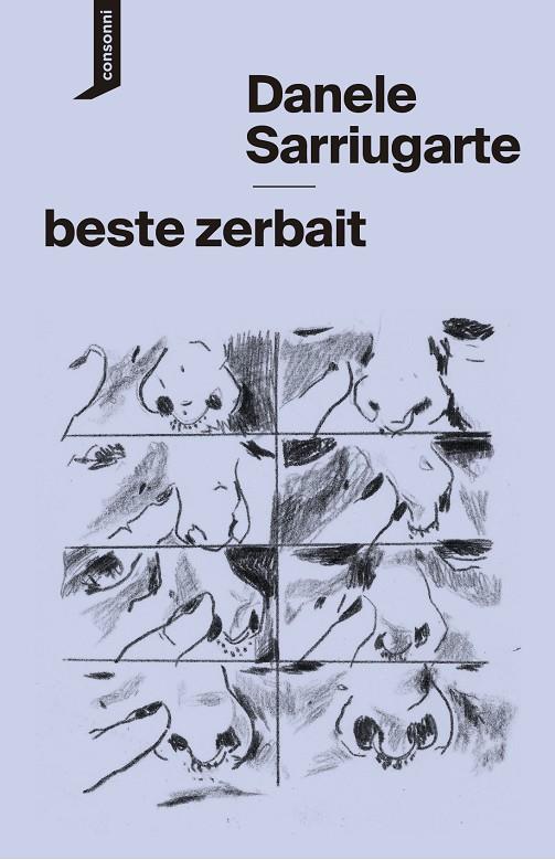 Beste zerbait | 9788419490551 | Sarriugarte, Danele