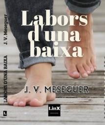 Labors d'una baixa | 9788412486735 | MESEGUER, J.V.