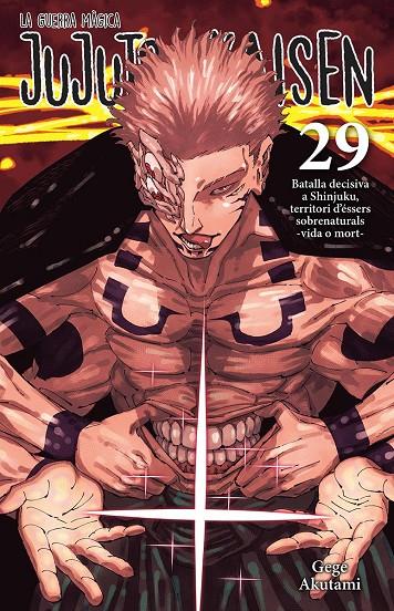 JUJUTSU KAISEN 29 CATALA | 9788467976274 | , GEGE AKUTAMI / Akutami, Gege