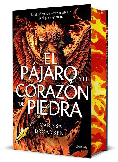 El pájaro y el corazón de piedra (Edición Deluxe) | 9788408314288 | Broadbent, Carissa