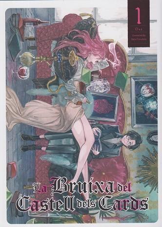 LA BRUIXA DEL CASTELL DELS CARDS | 9788412998993 | Tarachine, John