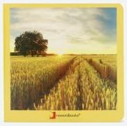 El campo | 9788412171099 | AA.VV.