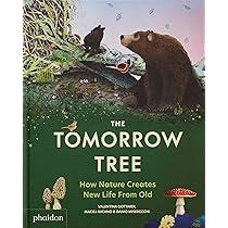 The tomorrow tree | 9781837290284 | , AA.VV.