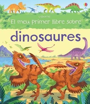 El meu primer llibre dinosaures | 9781474919920 | Frith, Alex