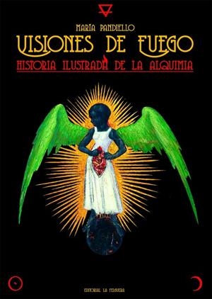 VISIONES DE FUEGO | 9788412466973 | PANDIELLO, MARÍA