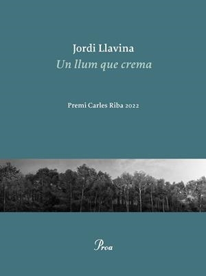 Un llum que crema | 9788475889979 | Llavina, Jordi