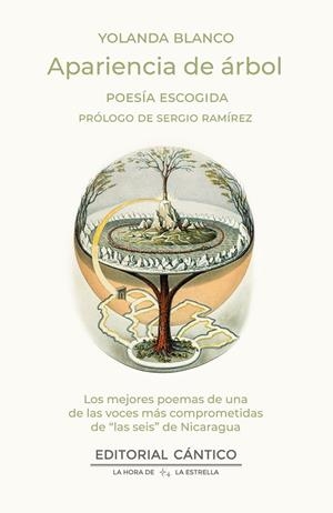 Apariencia de árbol | 9788410288034 | Yolanda Blanco