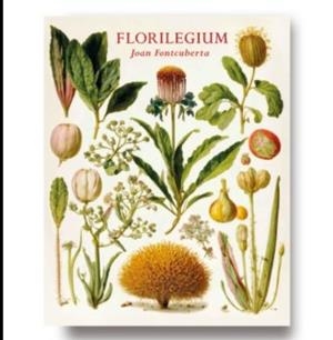 Florilegium | 9788480817936 | Fontcuberta, Joan