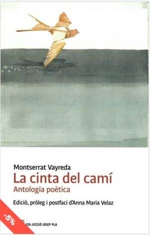 LA CINTA DEL CAMÍ | 9788418734359 | MONTSERRAT VAYREDA