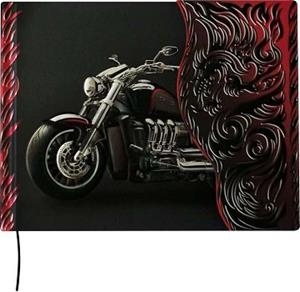 TRIUMPH | 9788417350536