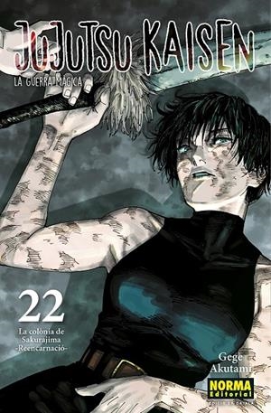 JUJUTSU KAISEN 22 CATALA | 9788467969948 | AKUTAMI, GEGE