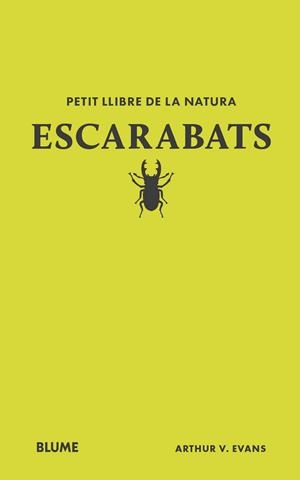 Petit llibre de la natura. Escarabats | 9788410268746 | Evans, Arthur V