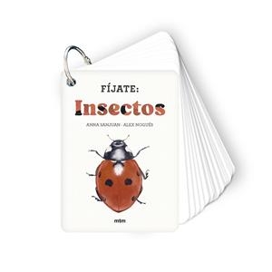Fíjate: insectos | 9788410407183 | Sanjuan Llorens, Anna / Nogués, Alex