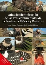 ATLAS DE IDENTIFICACION DE LAS AVES CONTINENTALES DE LA PENINSU (2 ED) | 9788419624338 | JAVIER BLASCO ZUMETA GER MICHAEL HEINZE