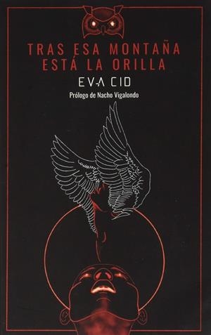 Tras esa  montaña está la  orilla | 9788494704345 | Cid, Eva