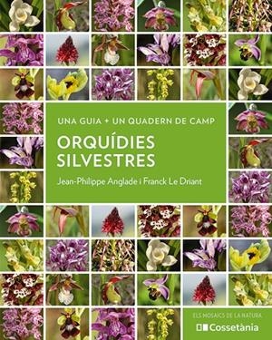 Orquídies silvestres | 9788413564920 | Anglade, Jean-Philippe / Le Driant, Franck