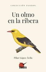 UN OLMO EN LA RIBERA | 9788419624987 | AA.VV