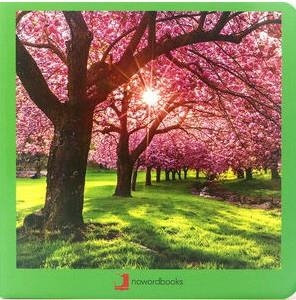 Primavera | 9788412171006 | AA.VV.