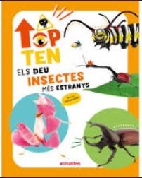 Top Ten Els deu insectes més estranys | 9788410302297 | , Cristina Banfi