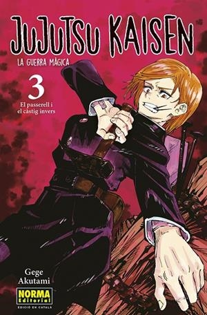 JUJUTSU KAISEN 03 CATALÀ | 9788467957570 | , GEGE AKUTAMI