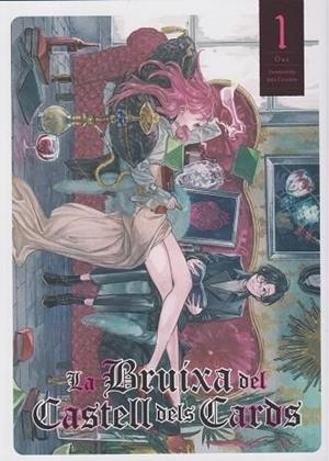 LA BRUIXA DEL CASTELL DELS CARDS | 9788412998993 | Tarachine, John