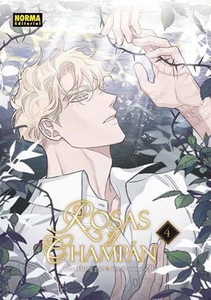 ROSAS Y CHAMPAN 04 | 9788467981889 | , TTUNG GAE / , ZIG