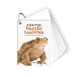 Fixa-t'hi: rèptils i amfibis | 9788410407602 | Sanjuan Llorens, Anna / Nogués Otero, Alex