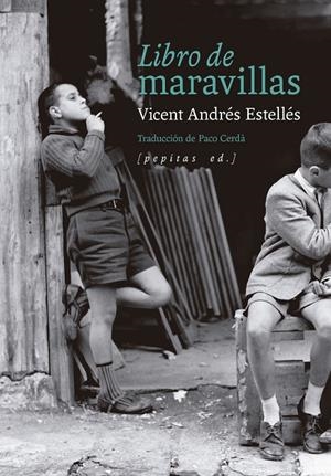 Libro de maravillas | 9788410476509 | ANDRES ESTELLES, VICENT