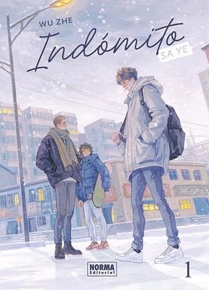 INDOMITO: SA YE 01 | 9788467983685 | Zhe, Wu