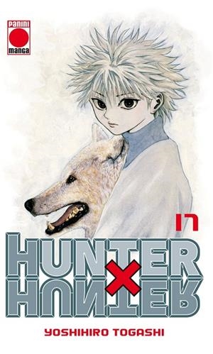 Hunter X Hunter Nº17 | 9788490248553 | , TOGASHI YOSHIHI