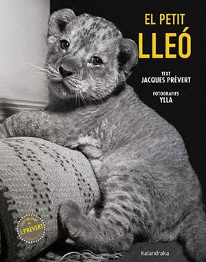 El petit lleó | 9788410387102 | Prévert, Jacques