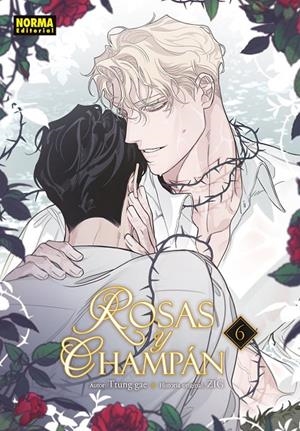 ROSAS Y CHAMPÁN 06 | 9788467983425 | TTUNG GAE / ZIG
