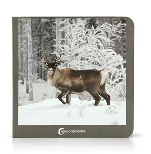 ANIMALES POLARES | 9788412534474 | NOWORDBOOKS