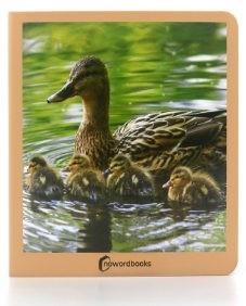 Animales en familia | 9788494810350 | AA.VV.