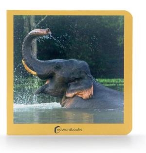 Los Animales Salvajes | 9788494295614 | AA. VV.